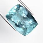 Zonder Minimumprijs Aquamarijn - 13.98 ct - International, Nieuw