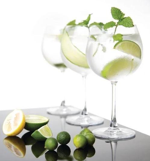 kristallen gin glazen | 645ml | (6 stuks), Zakelijke goederen, Horeca | Overige, Verzenden