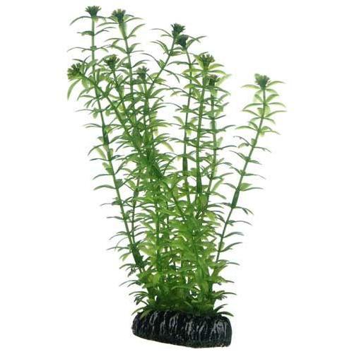 Osaka aquarium kunst plant Lagarosiphon 20cm art. 574, Dieren en Toebehoren, Vissen | Aquaria en Toebehoren, Plant(en), Steen of Hout