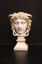 sculptuur, Scultura di Medusa Rondanini in marmo - 52 cm -
