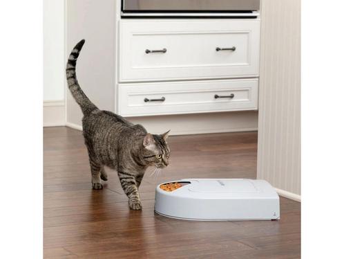 Petsafe Eatwell Automatische-voerbak voor vijf maaltijden -, Huis en Inrichting, Woonaccessoires | Overige, Zo goed als nieuw