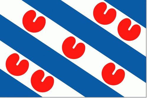 Friesland, Watersport en Boten, Bootonderdelen, Nieuw, Zeilboot of Motorboot, Ophalen of Verzenden