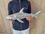Beeld, Silver Shark 41cm - 13 cm - Hars, Antiek en Kunst