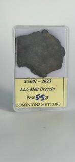 TeA 001 LL6 gesmolten breccia - 5.5 g - (1)
