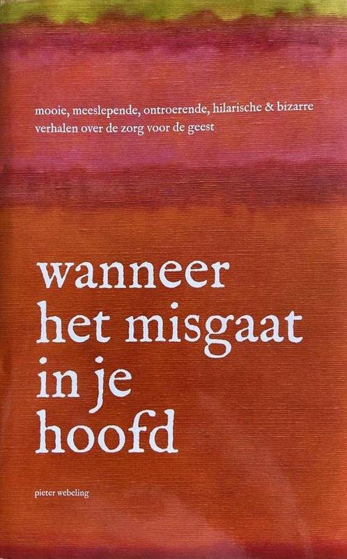 Wanneer het misgaat in je hoofd 9789090243726, Boeken, Wetenschap, Zo goed als nieuw, Verzenden