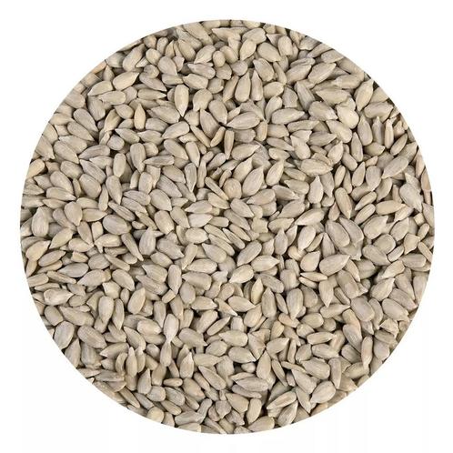 Zonnebloempitten 3kg, Hobby en Vrije tijd, Taarten en Cupcakes maken, Nieuw, Verzenden