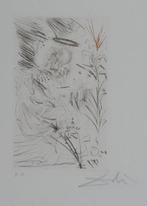 Salvador Dali (1904-1989) - Lange, Antiek en Kunst
