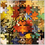 cd - Surge  - For The Time Being, Verzenden, Zo goed als nieuw