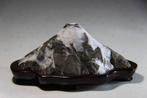 Steen - Fujiyama Japanse Suiseki Yoseki Mount Fuji-stijl -