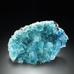 362g Hoge Kwaliteit! Paraiba Blue FLUORITE op ROOKKWARTS van