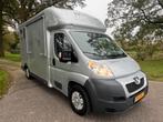 Mooie Peugeot paardenwagen te koop! Uit 2010., Dieren en Toebehoren, Paarden en Pony's | Trailers en Aanhangwagens, Ophalen, Zo goed als nieuw