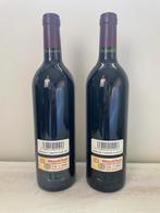 2001 Bodegas y Viñedos Alión - Ribera del Duero - 2 Flessen, Verzamelen, Nieuw