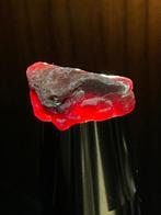Robijn Ruw. Verbazingwekkende Bloedrobijn Kristal. 37,5 Ct., Verzamelen, Mineralen en Fossielen