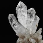 ESTETICO! BLOEM VAN MELKKWARTS IALINO, Italië Kristallen op