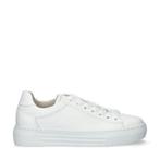 Gabor Comfort Optifit lage sneakers voor dames, Kleding | Dames, Schoenen, Verzenden, Wit, Gabor, Nieuw