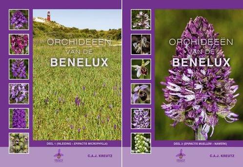 9789080662681 Orchideeen van de Benelux C.A.J. Kreutz, Boeken, Studieboeken en Cursussen, Nieuw, Verzenden