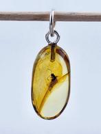 Uitzonderlijke Baltische amber sieraden – zeldzame fossiele, Nieuw