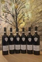 2019 Paolo Magi, Magi Gold Label Edition - Brunello di, Nieuw