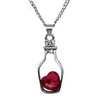 Fako Bijoux® - Ketting - Fles Met Hart - Rood, Verzenden, Nieuw