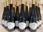 2019 Poggiobello Friuli Sauvignon - Veneto - 12 Flessen, Nieuw