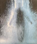 Bill Viola, Boeken, Ophalen of Verzenden, Nieuw