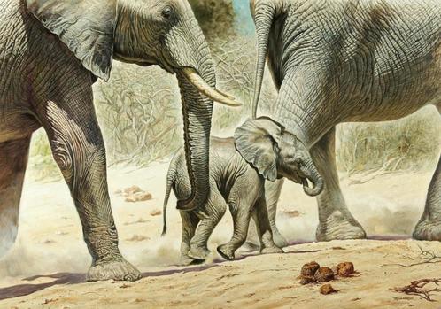 Kunstdruk Renato Casaro - Go Baby Go 100x70cm, Huis en Inrichting, Woonaccessoires | Schilderijen, Tekeningen en Foto's, Nieuw