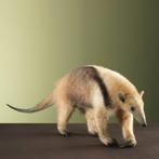 Tamandua Miereneter Taxidermie Opgezette Dieren By Max, Verzamelen, Ophalen of Verzenden, Nieuw, Wild dier, Opgezet dier