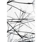 Lichtboom Buiten - H210 x Ø100 cm - Metaal - Zwart, Diversen, Kerst, Verzenden, Nieuw