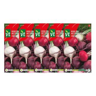 Bietenzaad | VT | 5 stuks (Rode biet), Tuin en Terras, Bloembollen en Zaden, Verzenden