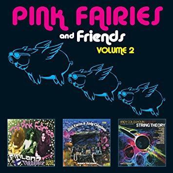 cd - Pink Fairies - The Pink Fairies And Friends Vol 2, Cd's en Dvd's, Cd's | Rock, Verzenden