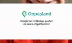Ik ben Aafke en ik zoek oppaswerk in Veldhoven., Diensten en Vakmensen, Dieren | Katten | Verzorging, Oppas en Les