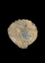 Grieks-Romeins Lood Schelpvormig handelsgewicht (Zonder, Antiek en Kunst