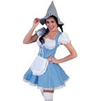 Blauw geblokte Oktoberfest jurk voor dames - Dirndl jurkjes