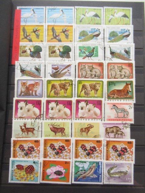 Wereld - Waarvan Hongarije en de Verenigde Naties,, Postzegels en Munten, Postzegels | Amerika