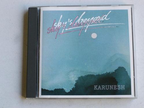 Karunesh - Skys Beyond, Cd's en Dvd's, Cd's | Meditatie en Spiritualiteit, Verzenden