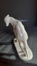 Aelteste Volkstedter - Beeldje, Greyhound, windhond, hond -, Antiek en Kunst