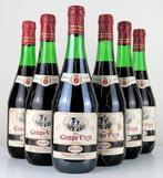 1969 Bodegas Campo Viejo - Rioja Reserva - 6 Flessen (0.75, Nieuw