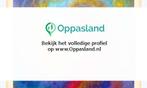 Ik ben Ans, 70 jaar oud en ik zoek oppaswerk in Arnhem., Diensten en Vakmensen, Oppas en Kinderopvang