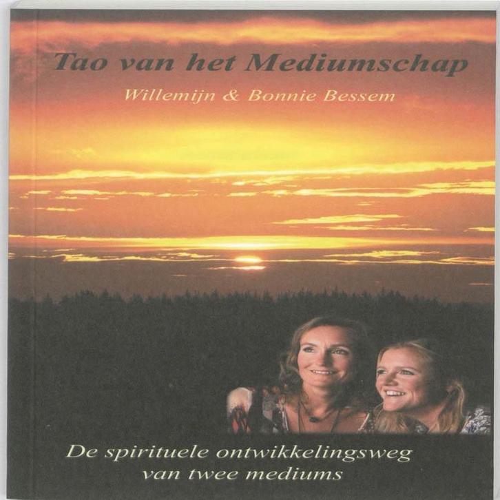 Tao van het Mediumschap 9789490230050 Willemijn Bessem, Boeken, Esoterie en Spiritualiteit, Zo goed als nieuw, Verzenden