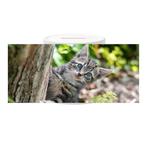 Spaarpot - Kitten in Tuin achter Boom NIEUW, Verzamelen, Spaarpotten, Ophalen of Verzenden, Nieuw