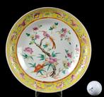 Een grote (24,2 cm doorsnede) Chinese Peacock-schotel voor