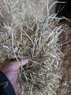 Frans weidehooi met analyse