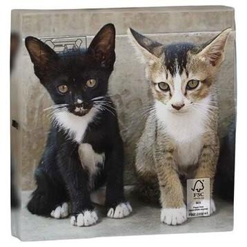 1 Pakje papieren lunch servetten - Kittens