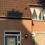 Huis 70m² St Romboutstr. €439  Eindhoven, Huizen en Kamers, Direct bij eigenaar, Eindhoven, Overige soorten, Noord-Brabant