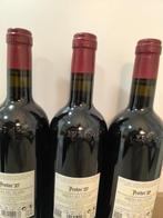 2021 Protos Bodega Ribera Duero, Protos 27 Tinto - Ribera, Nieuw