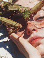 Roger Haus - HAI Port Lligat - Hand Signed