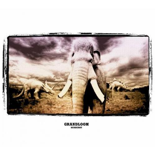 LP gebruikt - Grandloom - Sunburst, Cd's en Dvd's, Vinyl | Rock, Zo goed als nieuw, Verzenden