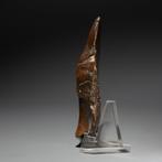 Oud-Egyptisch Vuursteen Handbijl - mes. 9,5 cm hoog.