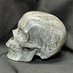 8 inch enorme menselijke schedel, handgesneden in Picasso