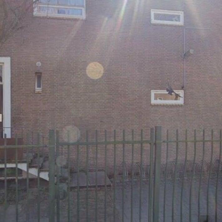 Woning te huur in Middelburg - 1 m² - 1 kamer(s), Huizen en Kamers, Huizen te huur, Zeeland, Overige soorten